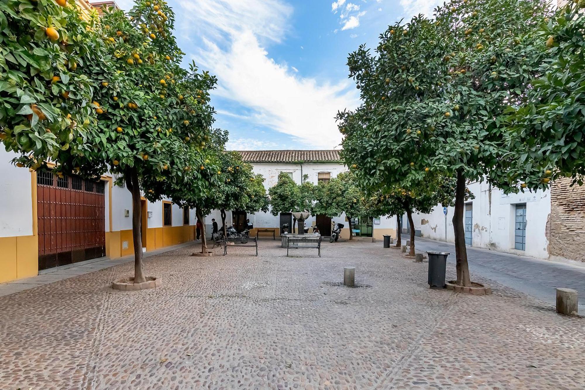 Bhost - Regina VIII Apartment Córdoba Exterior foto